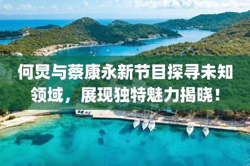 何炅与蔡康永新节目探寻未知领域，展现独特魅力揭晓！