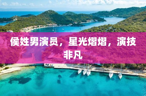 侯姓男演员，星光熠熠，演技非凡