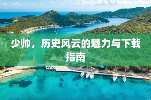 少帅，历史风云的魅力与下载指南
