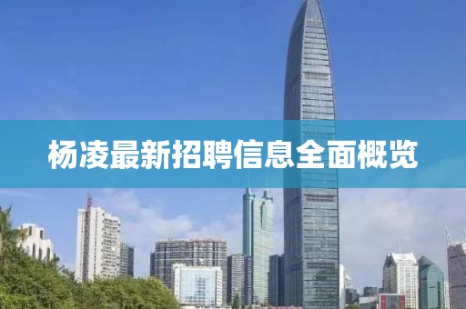杨凌最新招聘信息全面概览
