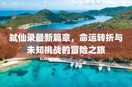 弑仙录最新篇章，命运转折与未知挑战的冒险之旅