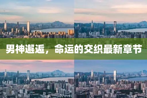 男神邂逅，命运的交织最新章节