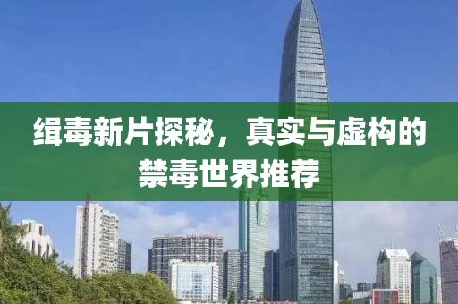 缉毒新片探秘，真实与虚构的禁毒世界推荐