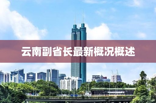 云南副省长最新概况概述