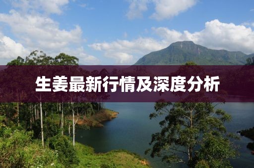 生姜最新行情及深度分析