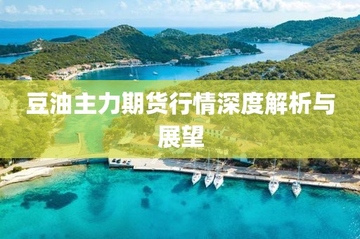 豆油主力期货行情深度解析与展望