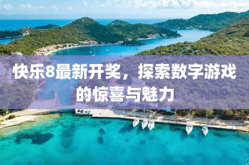 快乐8最新开奖，探索数字游戏的惊喜与魅力
