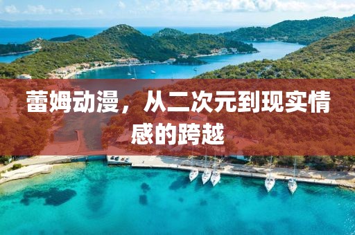 蕾姆动漫，从二次元到现实情感的跨越