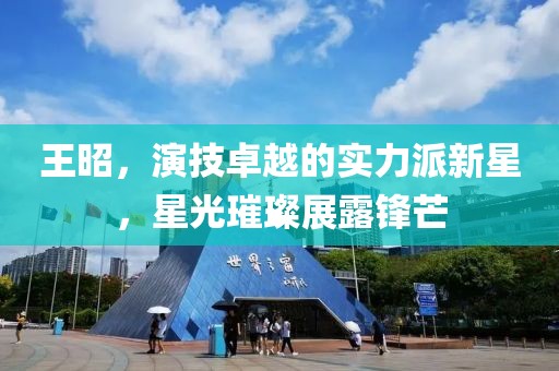 王昭，演技卓越的实力派新星，星光璀璨展露锋芒