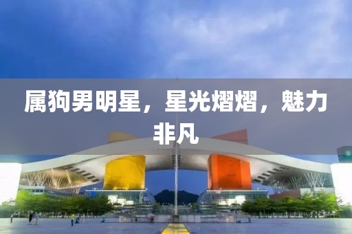 属狗男明星，星光熠熠，魅力非凡