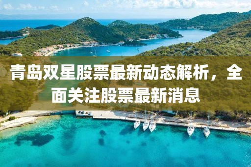 青岛双星股票最新动态解析，全面关注股票最新消息