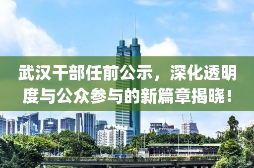 武汉干部任前公示，深化透明度与公众参与的新篇章揭晓！