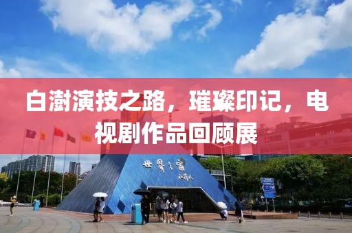 白澍演技之路，璀璨印记，电视剧作品回顾展