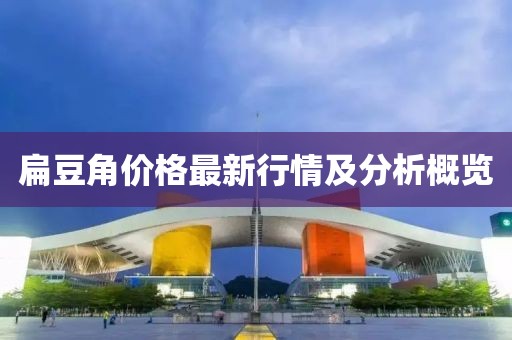 扁豆角价格最新行情及分析概览