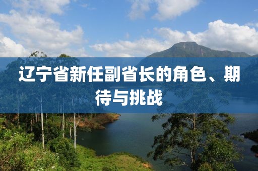 辽宁省新任副省长的角色、期待与挑战