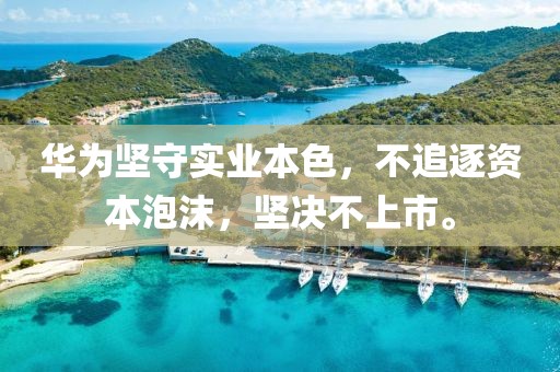 华为坚守实业本色，不追逐资本泡沫，坚决不上市。