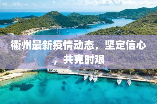衢州最新疫情动态，坚定信心，共克时艰