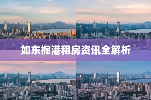 如东掘港租房资讯全解析