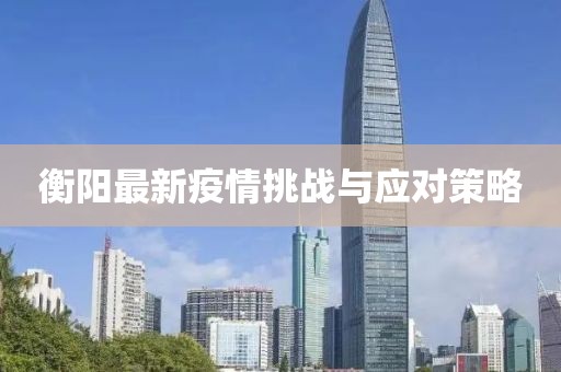 衡阳最新疫情挑战与应对策略