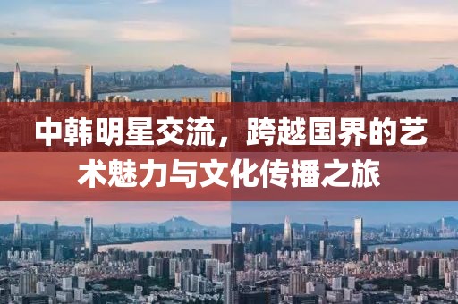 中韩明星交流，跨越国界的艺术魅力与文化传播之旅