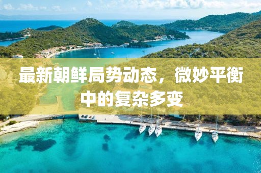 最新朝鲜局势动态，微妙平衡中的复杂多变