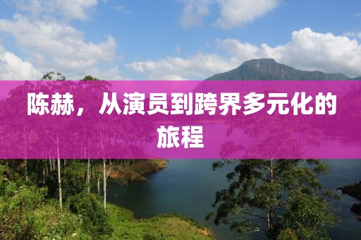 陈赫，从演员到跨界多元化的旅程