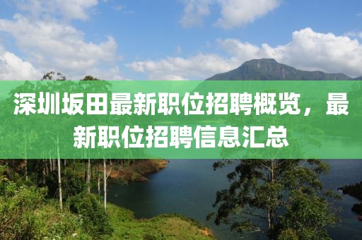 深圳坂田最新职位招聘概览，最新职位招聘信息汇总