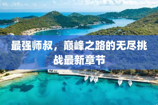 最强师叔，巅峰之路的无尽挑战最新章节