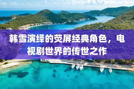 韩雪演绎的荧屏经典角色，电视剧世界的传世之作