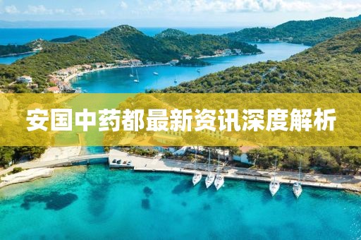 安国中药都最新资讯深度解析