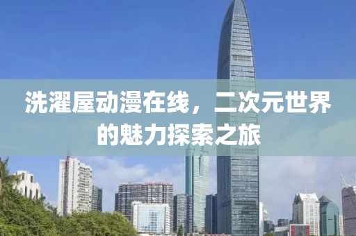 洗濯屋动漫在线，二次元世界的魅力探索之旅