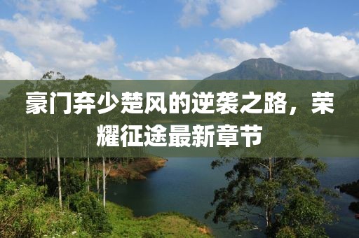 豪门弃少楚风的逆袭之路，荣耀征途最新章节