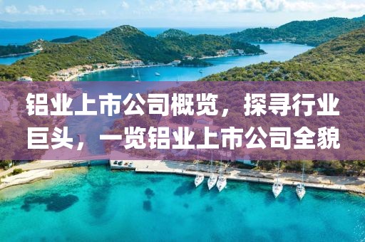 铝业上市公司概览，探寻行业巨头，一览铝业上市公司全貌