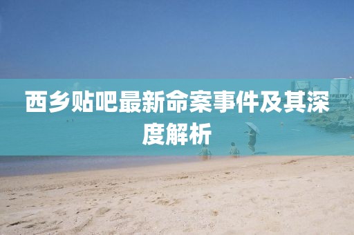 西乡贴吧最新命案事件及其深度解析