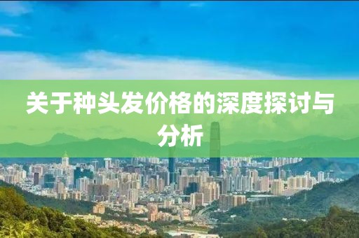 关于种头发价格的深度探讨与分析