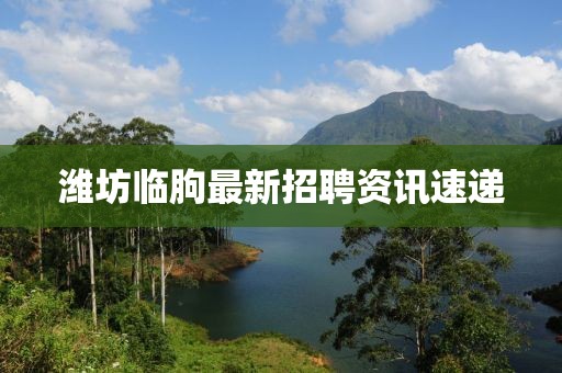 潍坊临朐最新招聘资讯速递