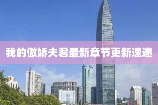 我的傲娇夫君最新章节更新速递