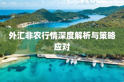 外汇非农行情深度解析与策略应对
