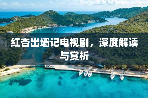 红杏出墙记电视剧，深度解读与赏析