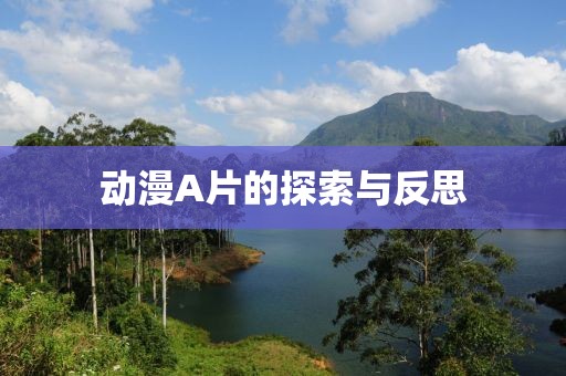 动漫A片的探索与反思