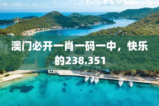澳门必开一肖一码一中，快乐的238.351