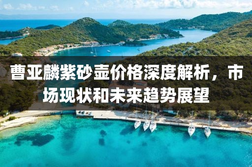 曹亚麟紫砂壶价格深度解析，市场现状和未来趋势展望