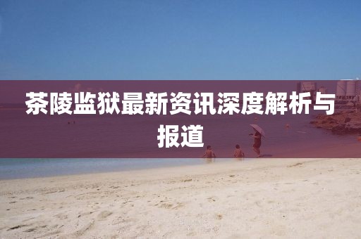 茶陵监狱最新资讯深度解析与报道