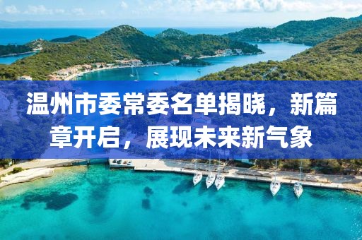 温州市委常委名单揭晓，新篇章开启，展现未来新气象