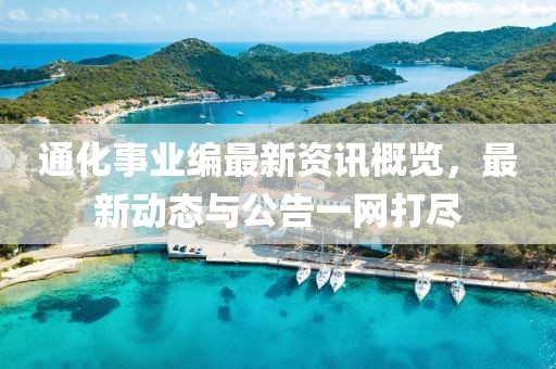 通化事业编最新资讯概览，最新动态与公告一网打尽