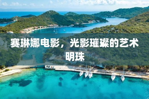 赛琳娜电影，光影璀璨的艺术明珠