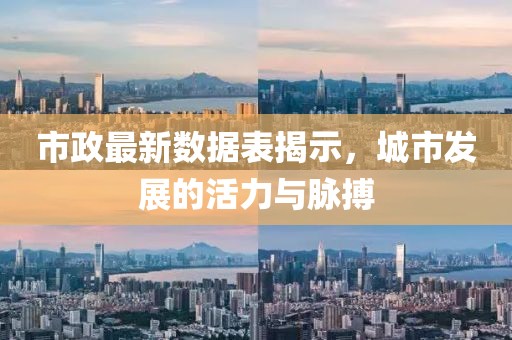 市政最新数据表揭示，城市发展的活力与脉搏