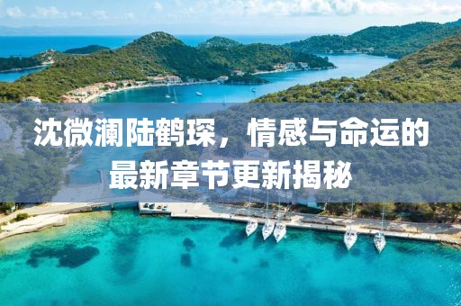 沈微澜陆鹤琛，情感与命运的最新章节更新揭秘