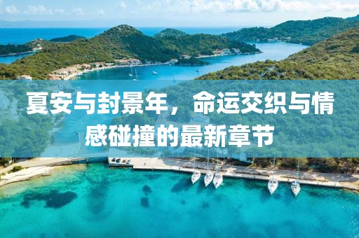 夏安与封景年，命运交织与情感碰撞的最新章节