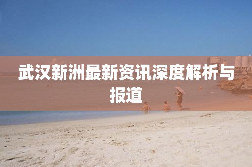 武汉新洲最新资讯深度解析与报道